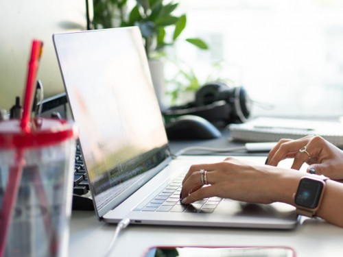 Work from home but not alone!