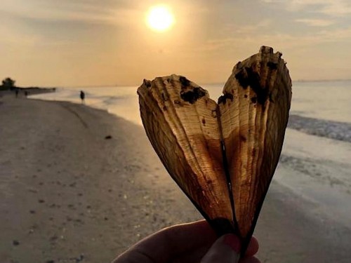 Fort Myers recovery efforts continue; VoX renews partnership