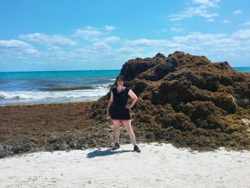 8,000-km-wide seaweed “blob” floating towards Florida, Mexico, the Caribbean