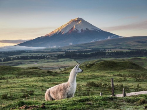 Uniworld partners with Adventure World to offer pre/post-cruise journeys