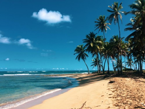 "We’re not out of the woods yet": CHTA outlines challenges facing Caribbean tourism