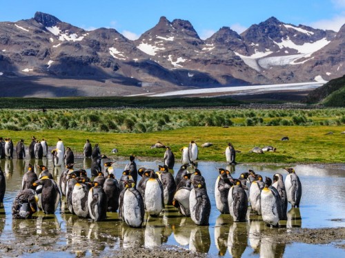 HAL to explore South America, Antarctica & Amazon River in 2024-25