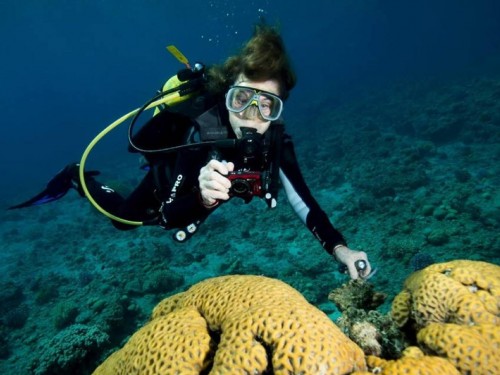 Oceanographer Dr. Sylvia Earle named godmother of EXPLORA I
