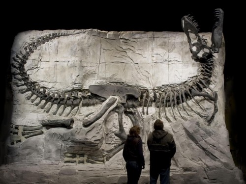 New Canadian company focuses exclusively on dinosaur travel