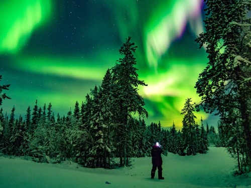 Air Canada to launch year-round Toronto-Yellowknife service on Dec. 1