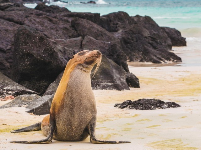 Exodus offers agents a chance to win a Galapagos adventure for two