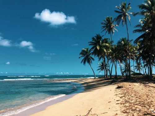 Caribbean ConnEX2023 coming to Toronto in November