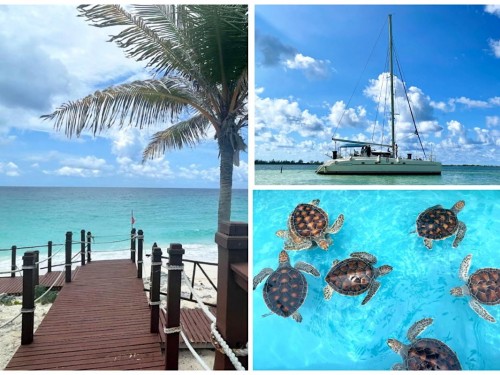 On Location: How to unplug with turtle power in Cayo Largo, Cuba with Sunwing