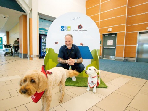 Back by paw-pular demand: therapy dogs return to YVR