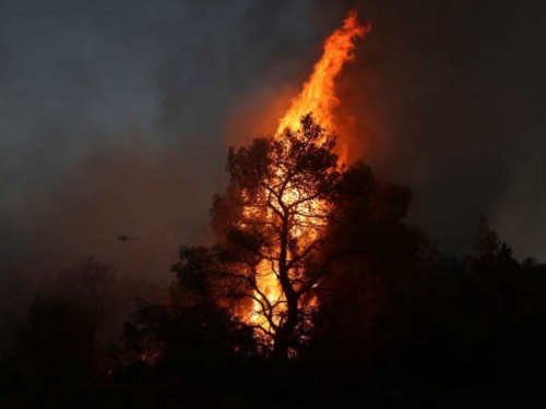 Thousands of tourists evacuated in Greece due to forest fires