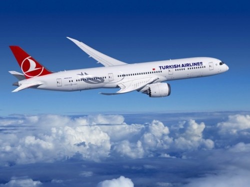 Turkish Airlines launches online booking for pets