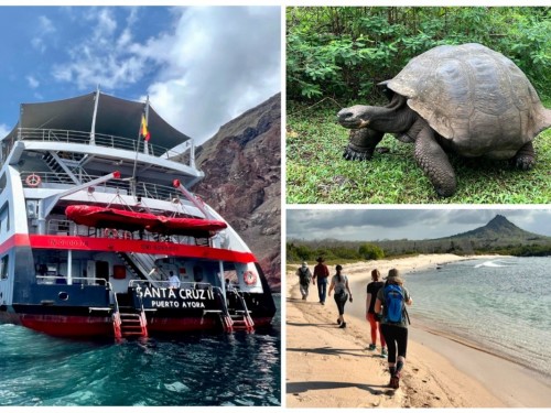 On Location: “Another planet”: An epic voyage through the Galapagos Islands with Hurtigruten Expeditions
