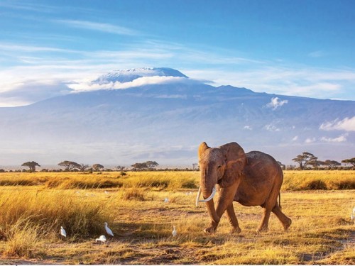 Goway holds Africa and Middle East travel advisor event