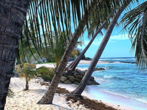 Barbados announces campaign to promote travel to the island country