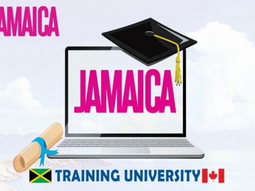 Travel advisors offered destination immersion training from Jamaica Training University