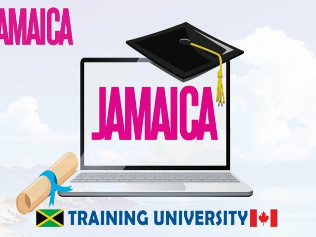 Travel advisors offered destination immersion training from Jamaica Training University