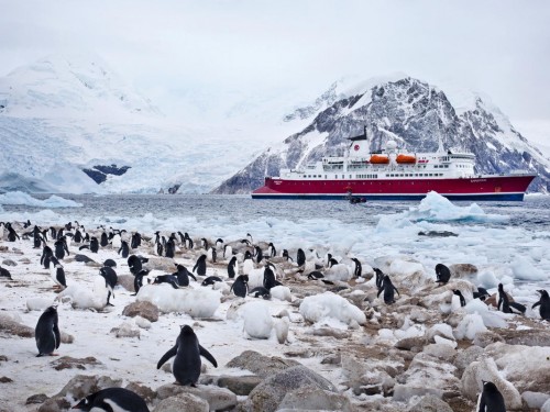 Save up to 30% on G Adventures trips to Antarctica in 2023-24
