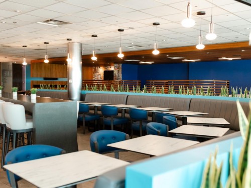 Here's a look inside KLM’s renovated Crown Lounge at Toronto Pearson