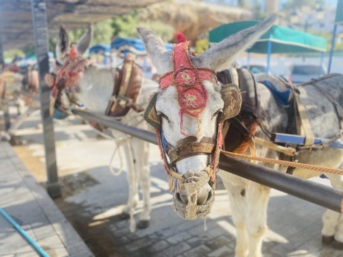 Collette kicks off "106 Reasons to Travel" flash sale