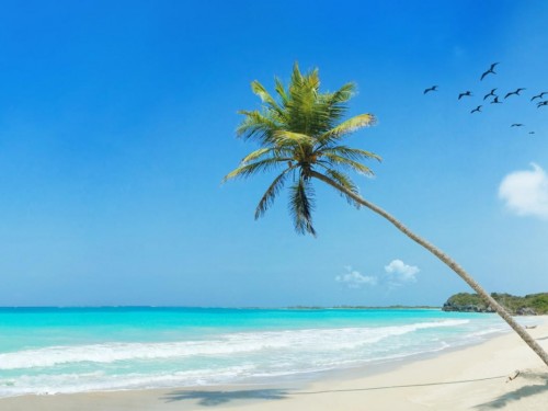 Be first to know about Carnival's new private port in The Bahamas