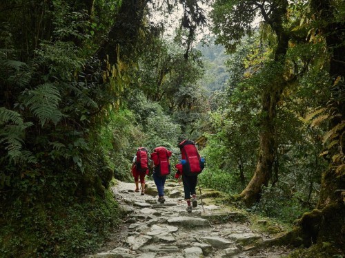 Intrepid puts “carbon labels” on 500+ itineraries