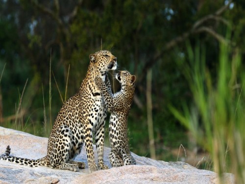 African Travel Inc. launches 2024 brochure, new destinations