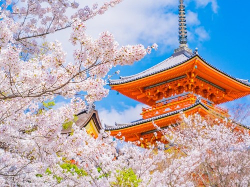 Goway announces fall, spring packages to Japan