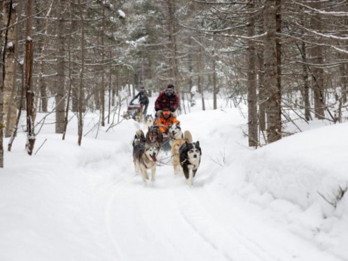 PONANT releases festive voyages in Arctic Circle for winter 2024-25