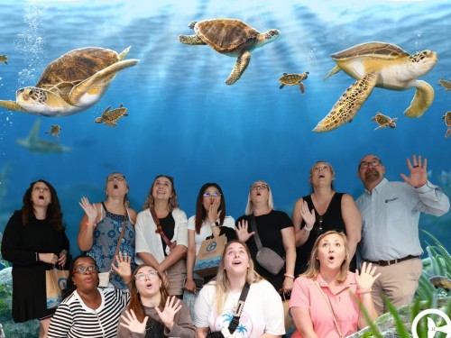 Canadian travel advisors unpack gems in Southwest Florida