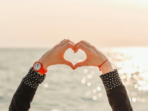 Globus & Avalon highlight #GivingTuesday opportunities