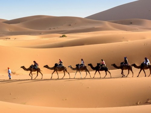 Transat launches packages, tours & excursions for Morocco
