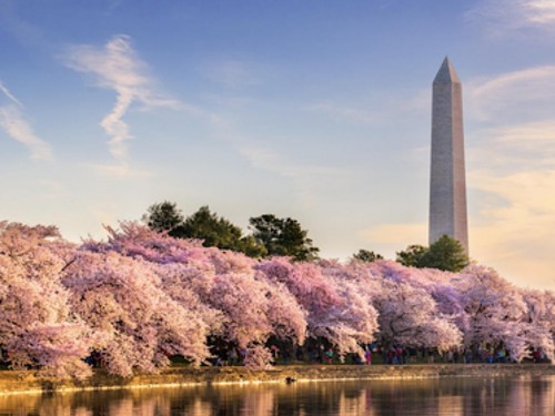 Six itineraries, 60 agents: Apply now for Brand USA's first-ever MegaFam