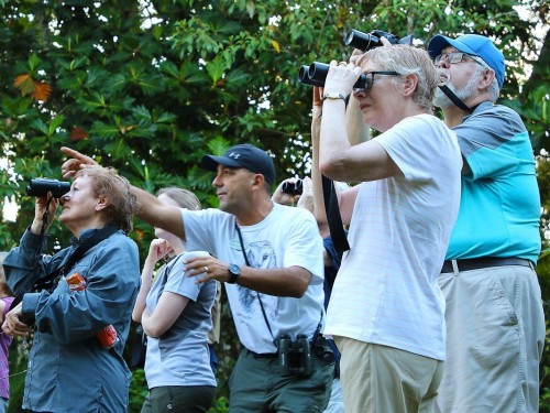 “Book early”: Collette says 2024 tours are filling up fast