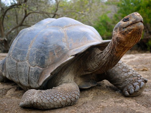 G Adventures’ "G-Normous" incentive returns; up to $75k in cash, prizes