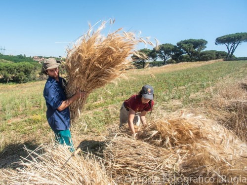 Intrepid pledges $890K to support communities in 2024